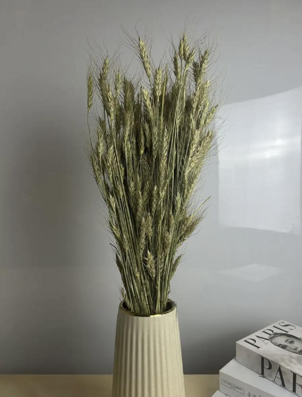 Декоративные цветы