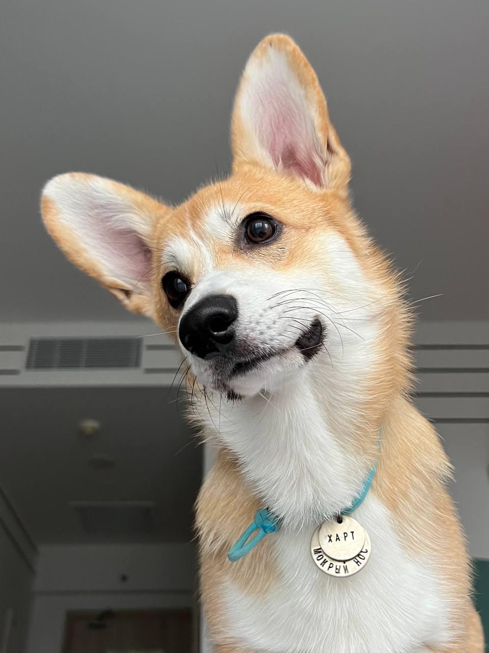 Любой адресник со скидкой -15%
по промокоду УЮТНО 😎
pennysheldon.com