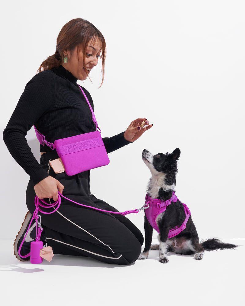 Яркие аксессуары для прогулок с любимцем! 