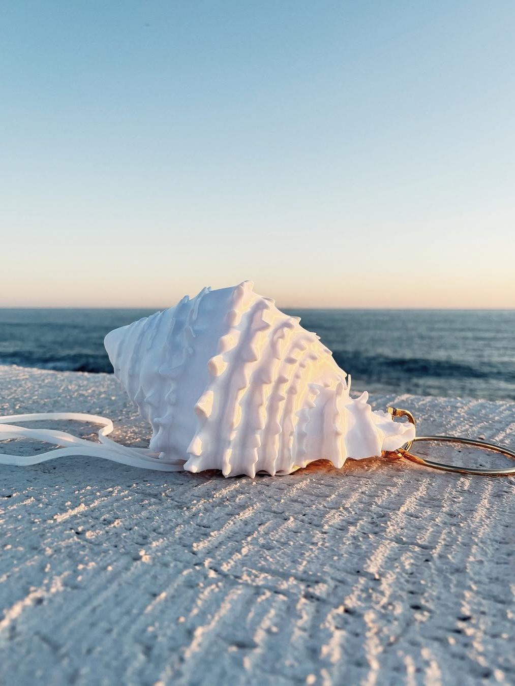 А теперь увидела в новинках эти клатчи-ракушки. И вообще пропала… 