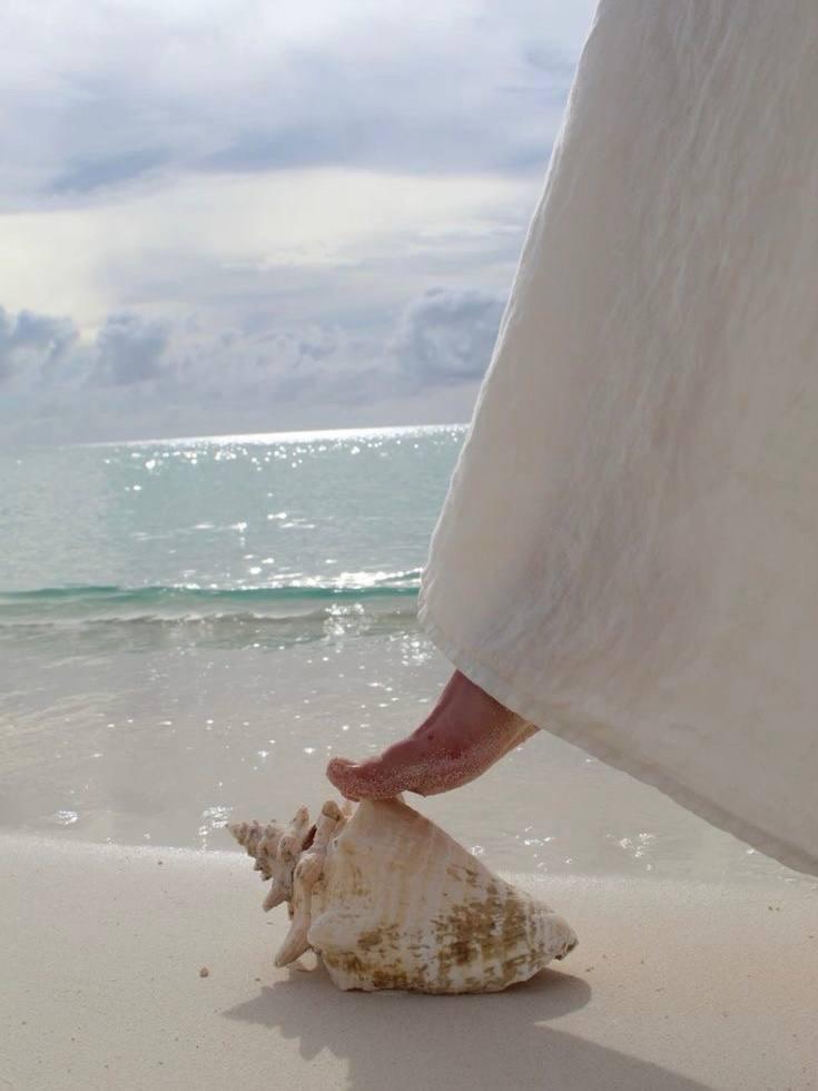 Сохраненки с летним подтекстом 🐚