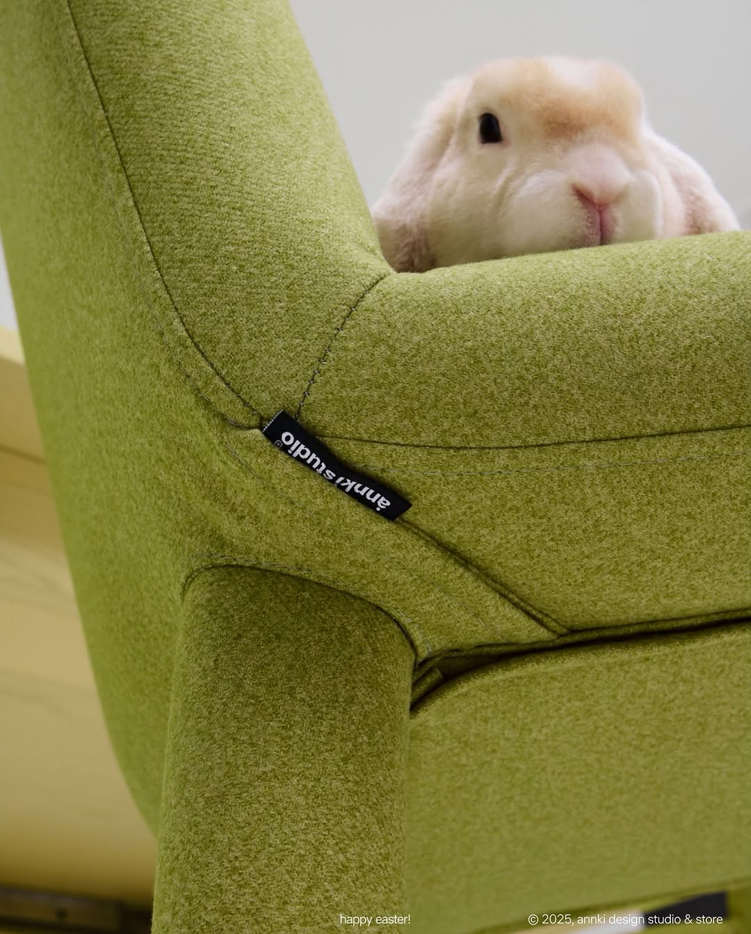 — следуй за белым кроликом.
/ цитата, «алиса в стране чудес», л. кэрролл

———
(а)objects: steve dinner chair
upholstery: eco wool, made in belgium 
col: grass
#steve_dinner_chair