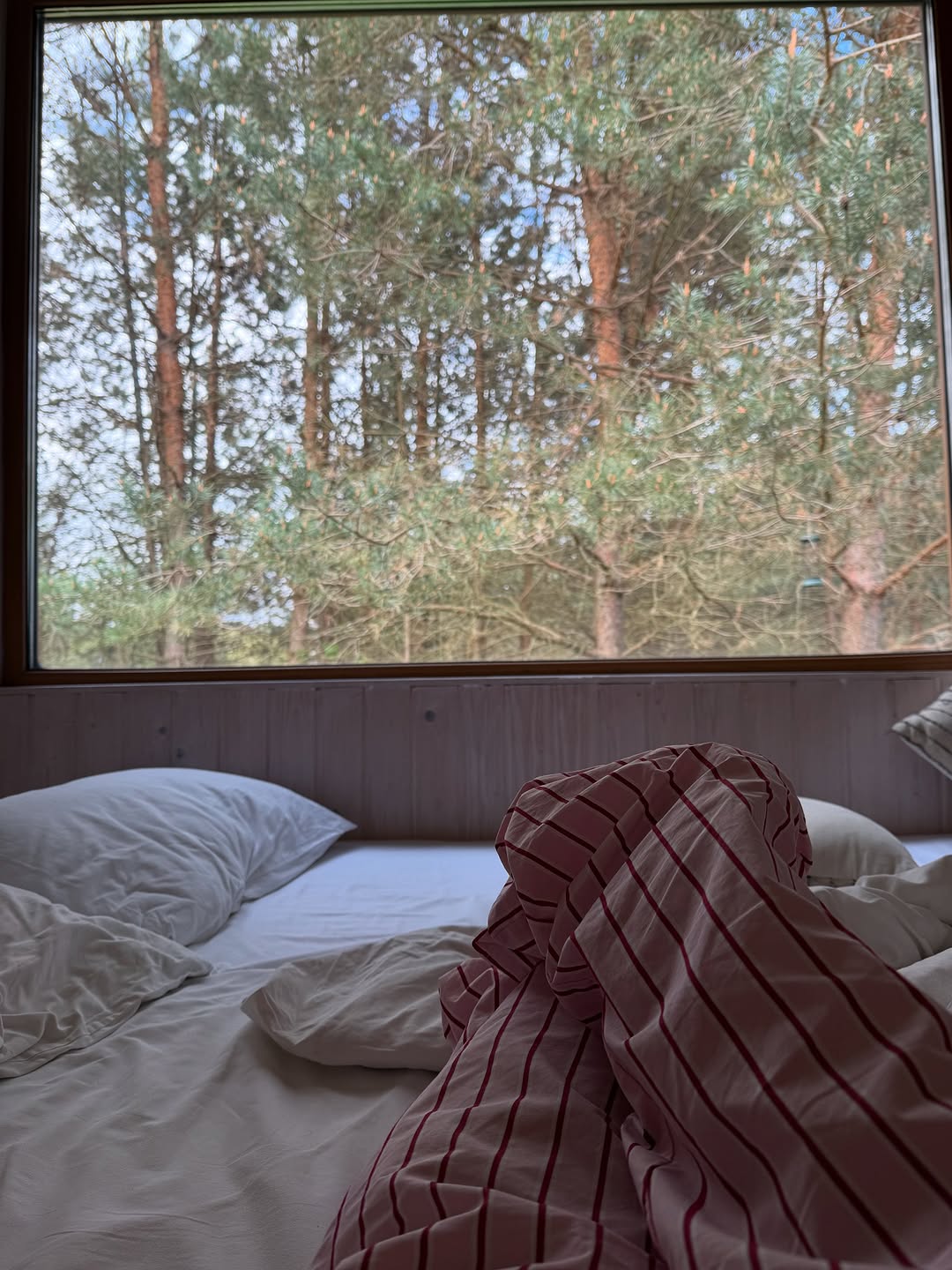 Спонтанные выходные вдали от суеты, блокировки связи и перекрытии всех дорог.
Электричка и через 2 часа мы в лесу, в месте, где совсем другой мир, где Ратмир пил настоящее молоко с творожной запеканкой, где была уха на костре и вид на лес. Лес. Я влюбиласьв лес!

Твердо решила, раз в месяц вот так посещать одно новое местечко. 
Если знаете классные, делитесь со мной)