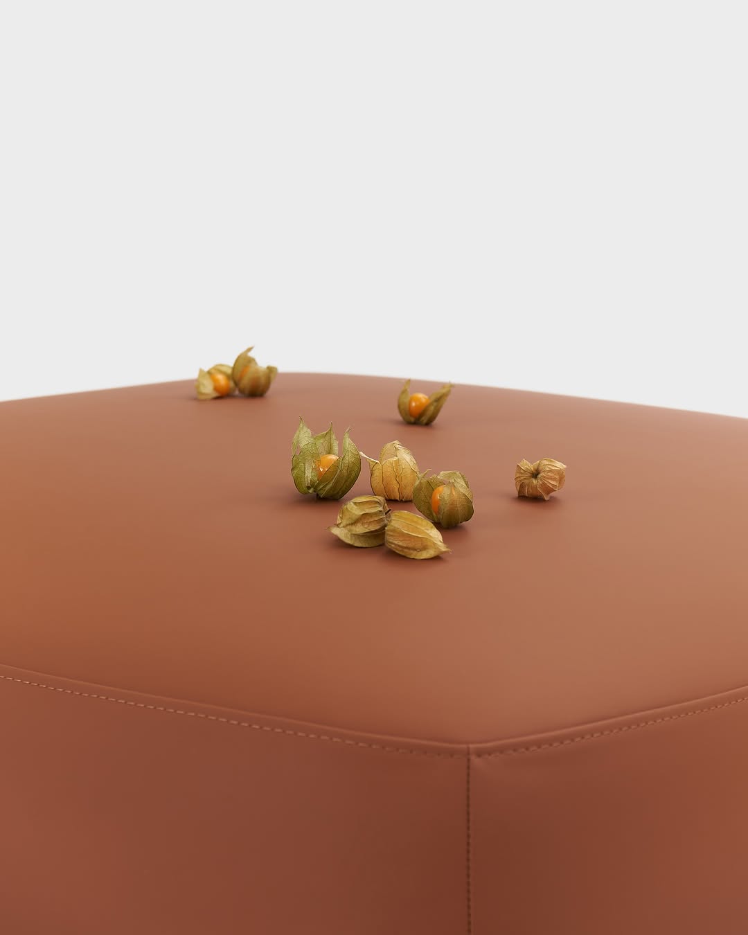 «Физалис — осенний фонарик,
что светит оранжевым цветом…»

——
(a)object: pouf / plus+ sofa
upholstery: leather / made in italy
col: 03
#plus_sofa